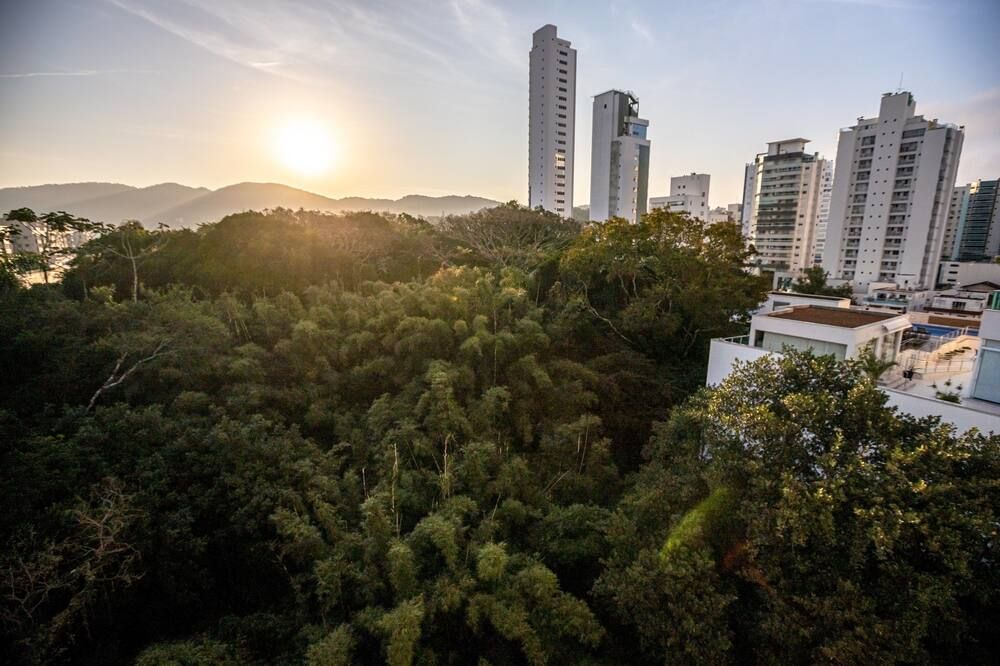 屋外の景色
