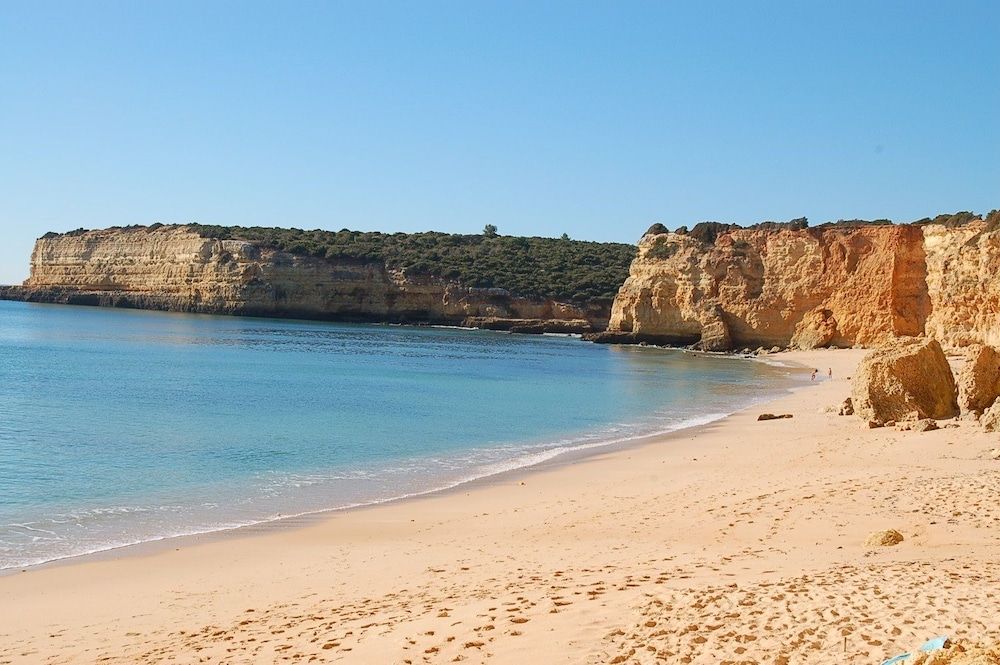 ビーチ 写真
