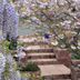 屋外の景色