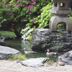 屋外の景色