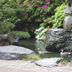 屋外の景色