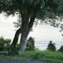 屋外の景色