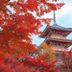 屋外の景色