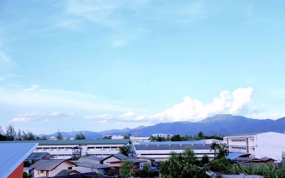 屋外の景色 写真