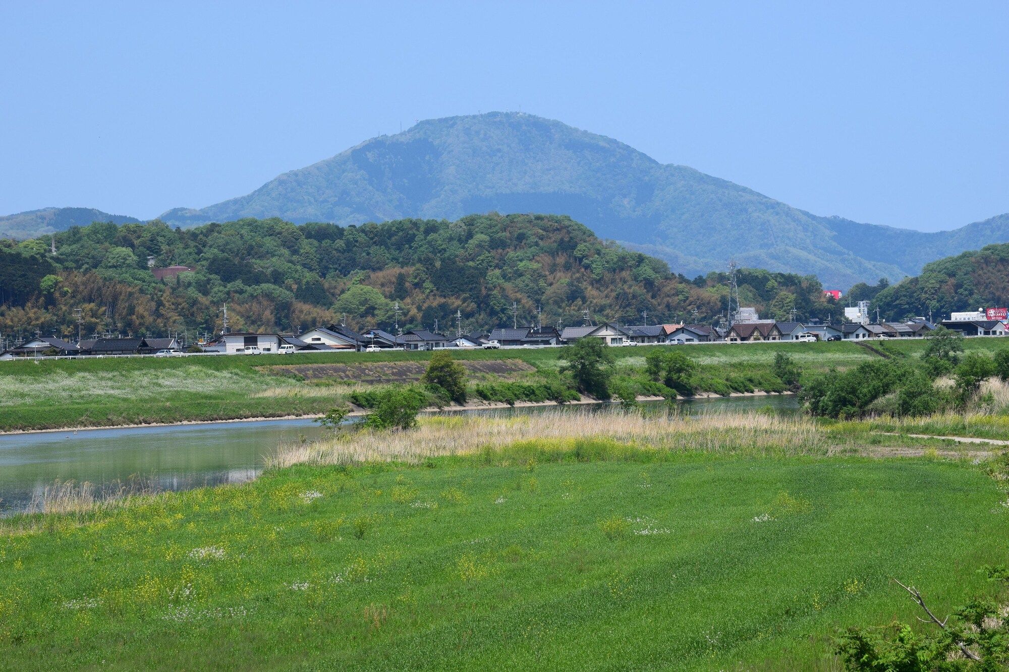 屋外の景色