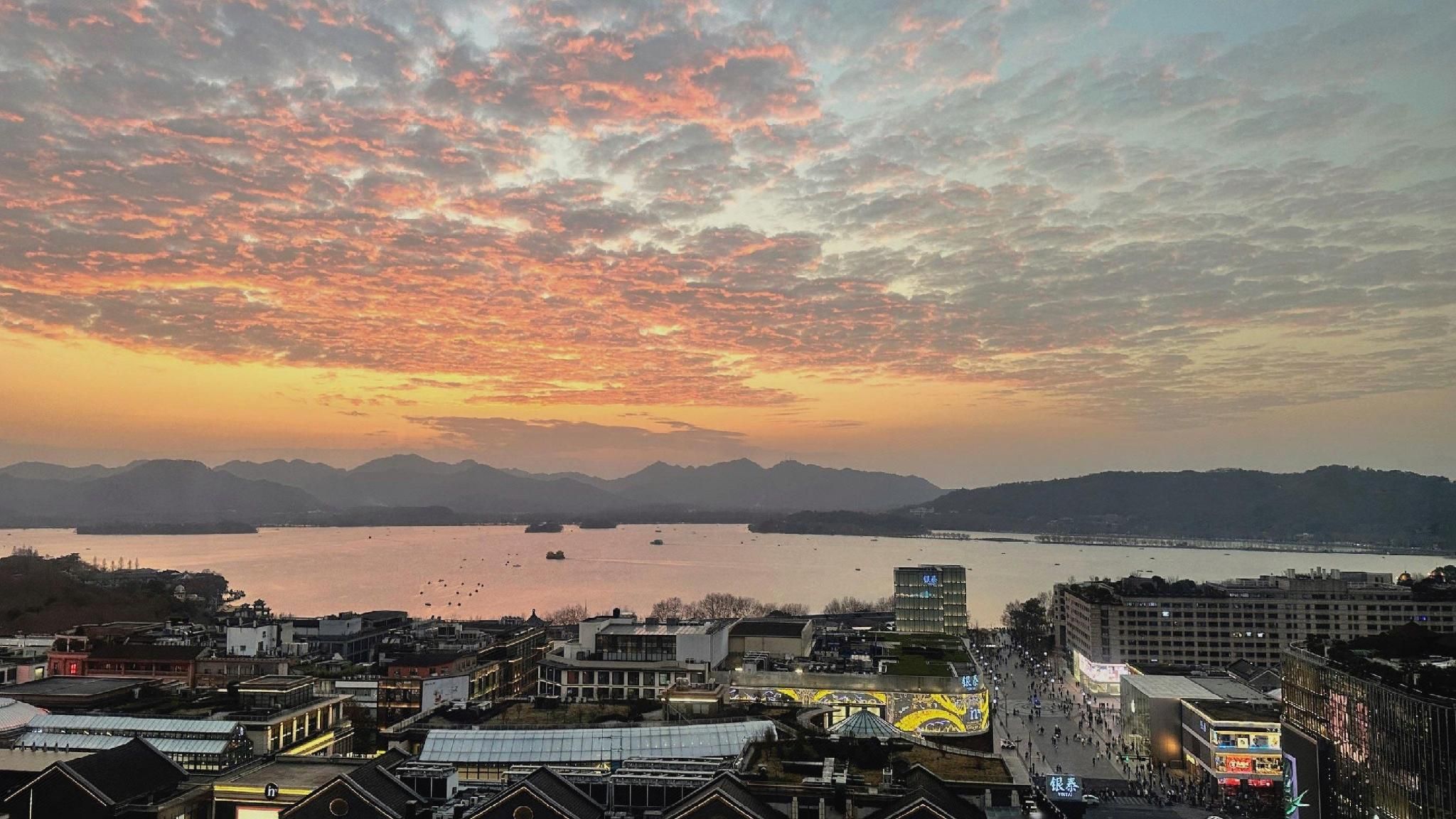 屋外の景色