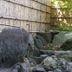 屋外の景色