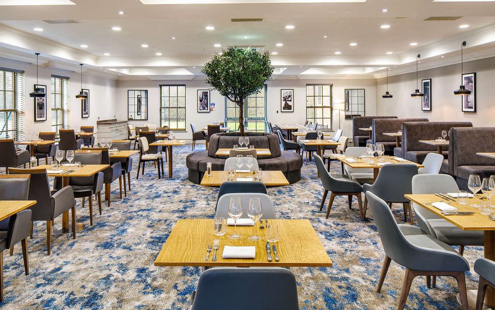 レストラン 写真