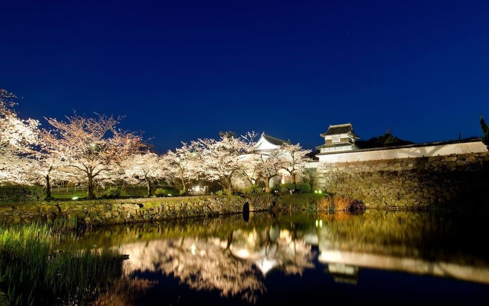 屋外の景色 写真