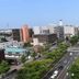 屋外の景色