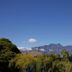 屋外の景色