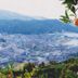 屋外の景色