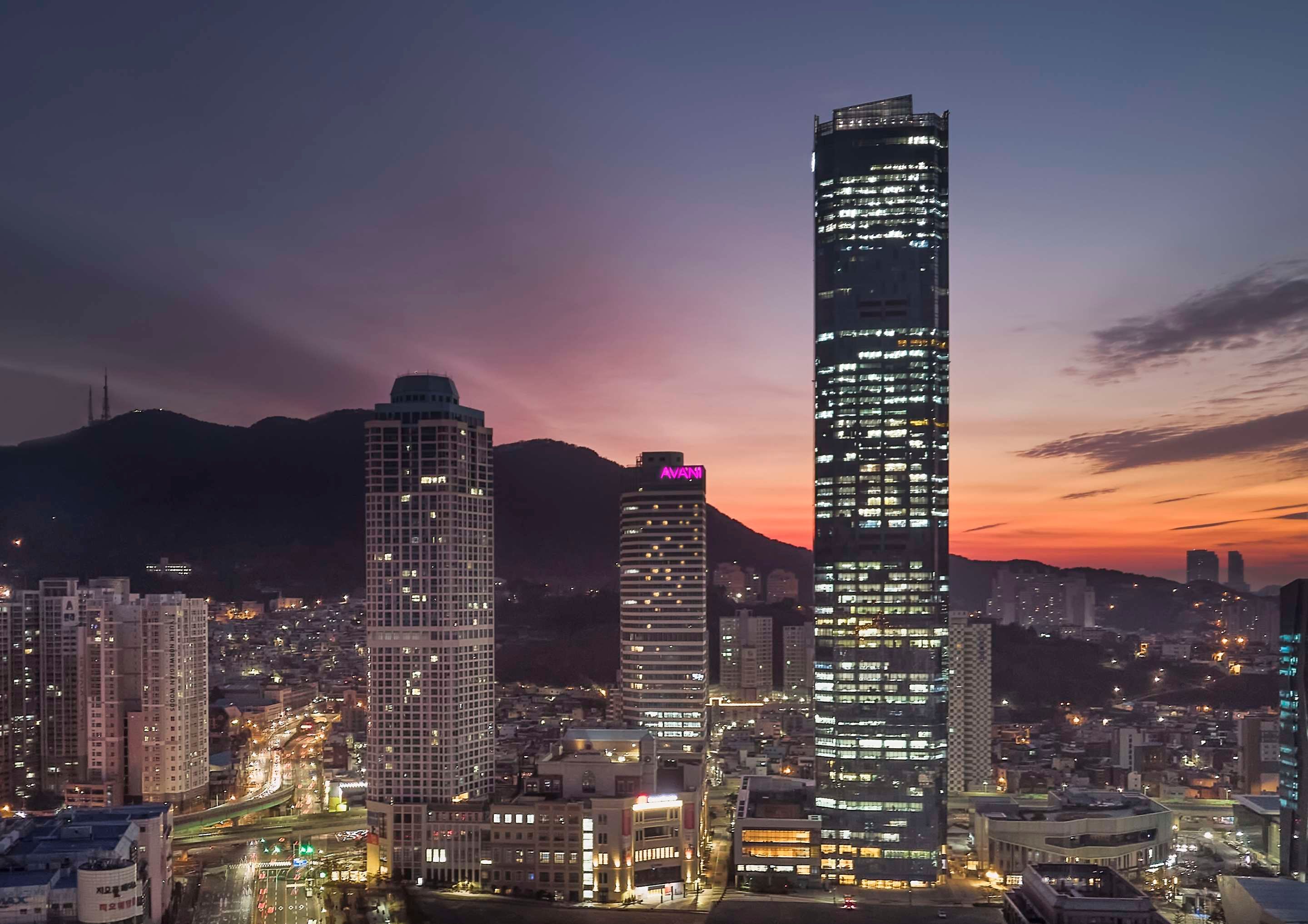 屋外の景色
