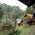 屋外の景色