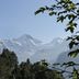 屋外の景色