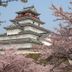 屋外の景色