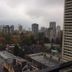 屋外の景色