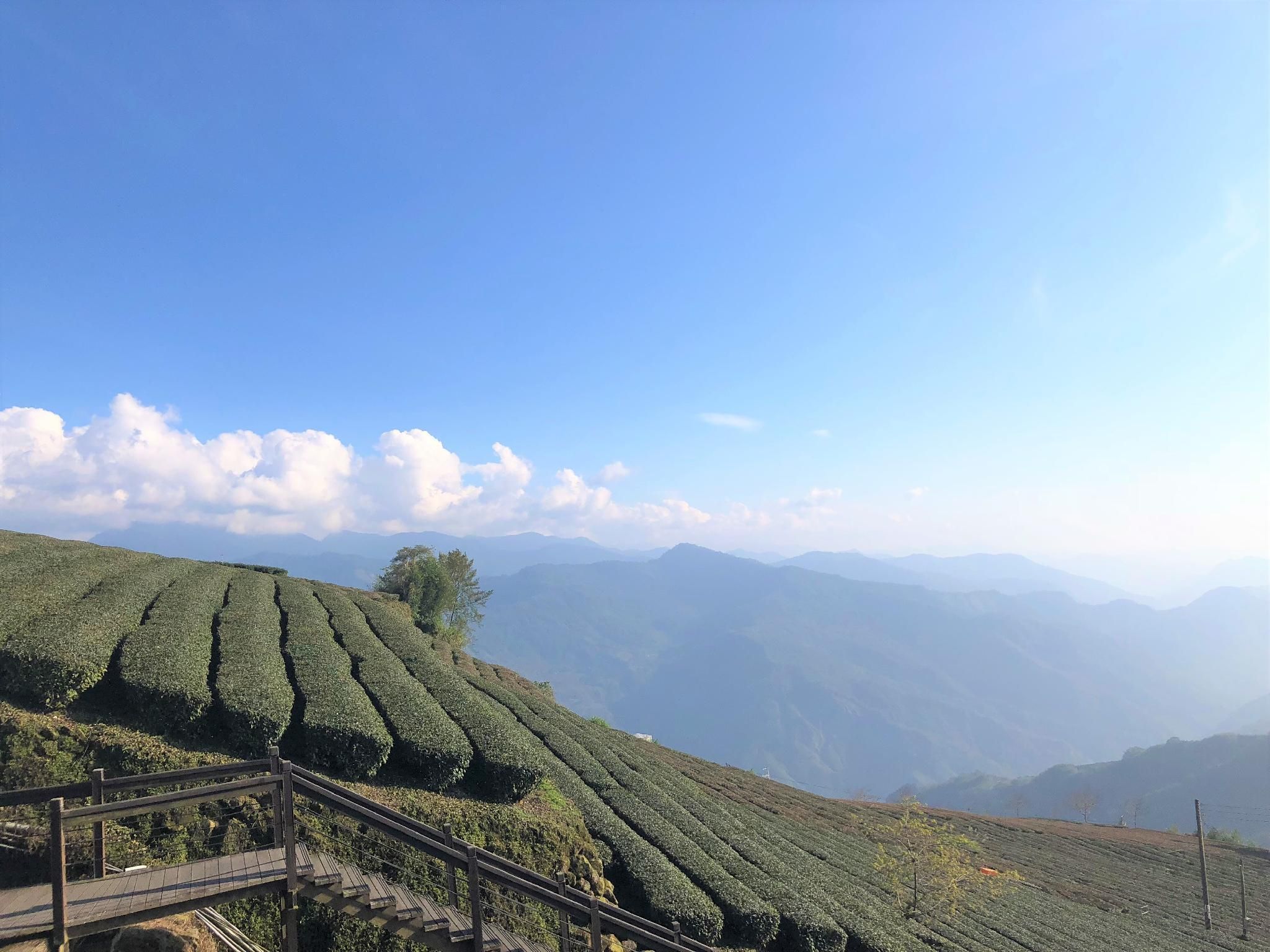 屋外の景色