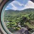 屋外の景色