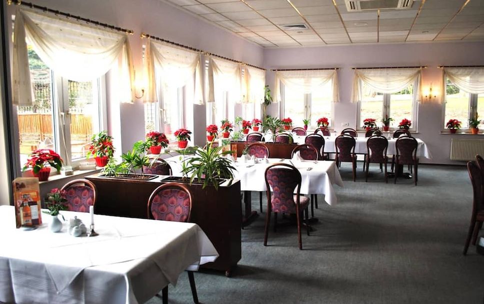 レストラン 写真