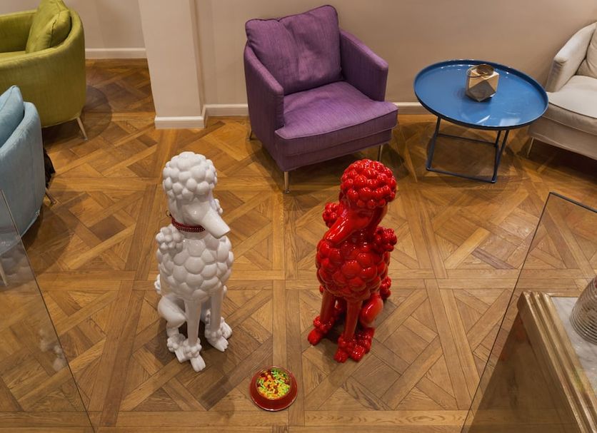 その他 写真