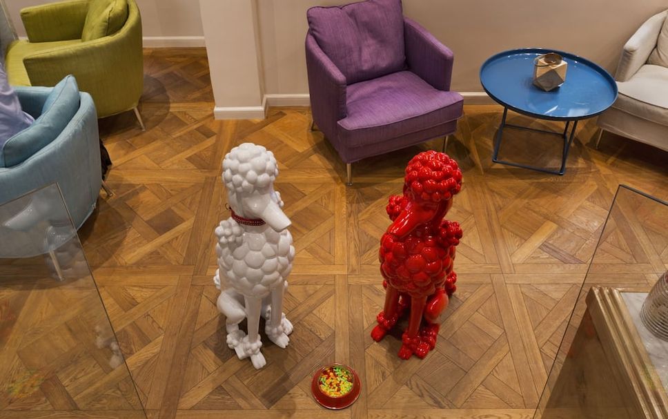 その他 写真