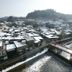 屋外の景色