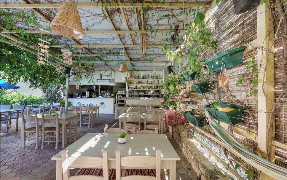 レストラン 写真