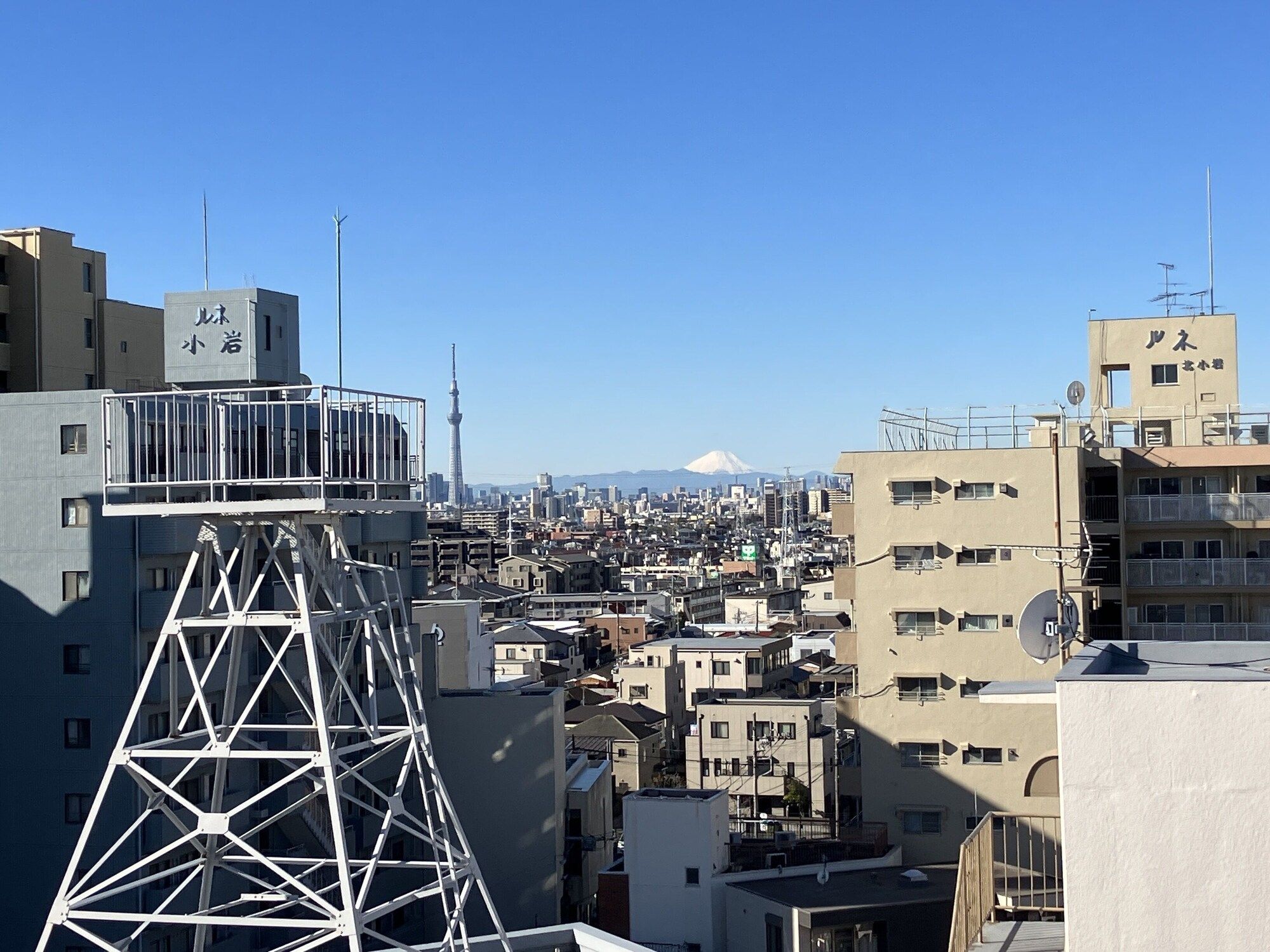 屋外の景色