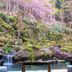 屋外の景色