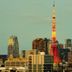 屋外の景色