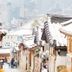 屋外の景色