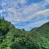 屋外の景色