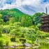 屋外の景色