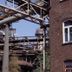 屋外の景色