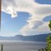 屋外の景色
