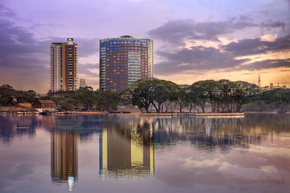 屋外の景色