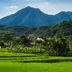 屋外の景色