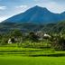 屋外の景色