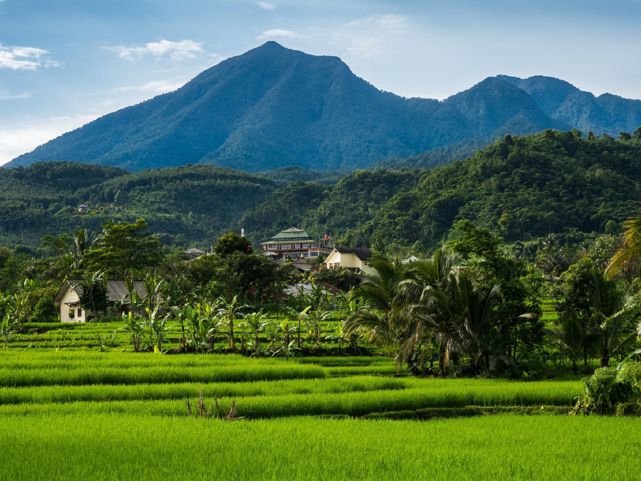 屋外の景色