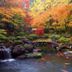 屋外の景色