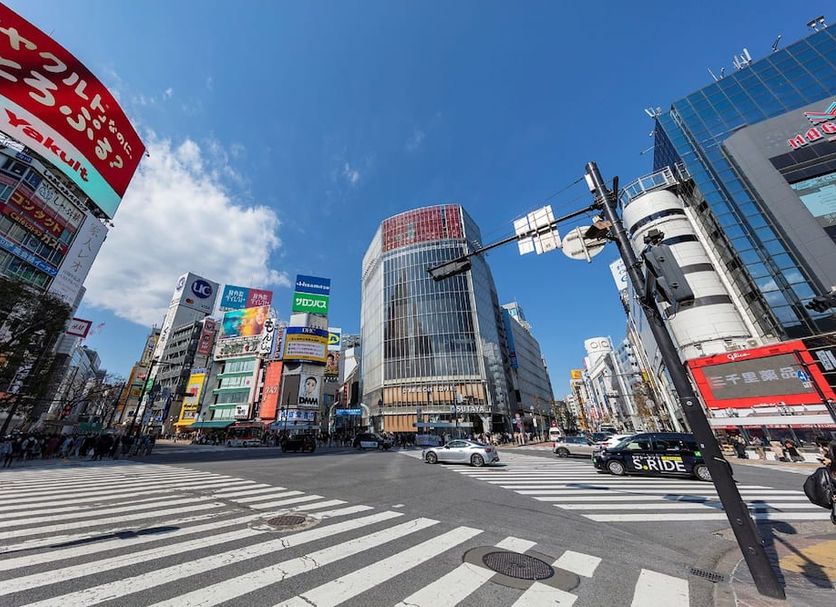 屋外の景色 写真