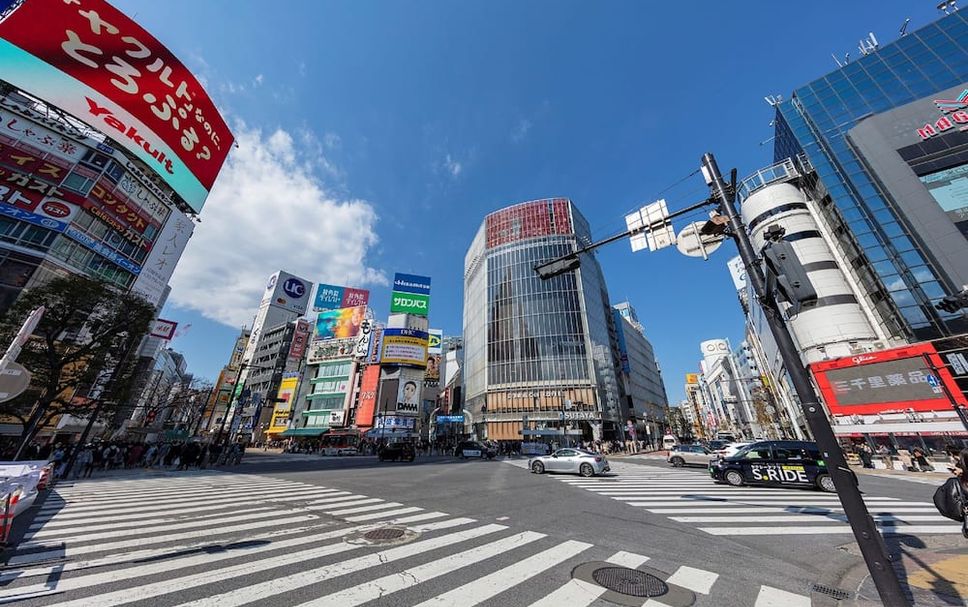 屋外の景色 写真