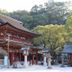屋外の景色