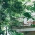 屋外の景色
