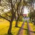 屋外の景色