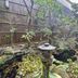 屋外の景色