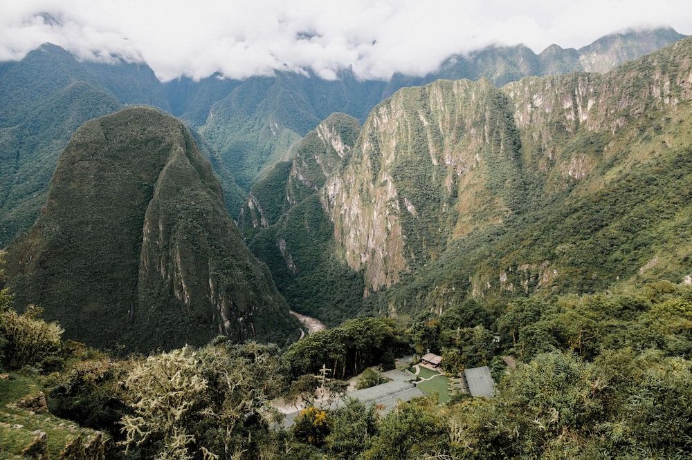 屋外の景色