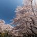 屋外の景色