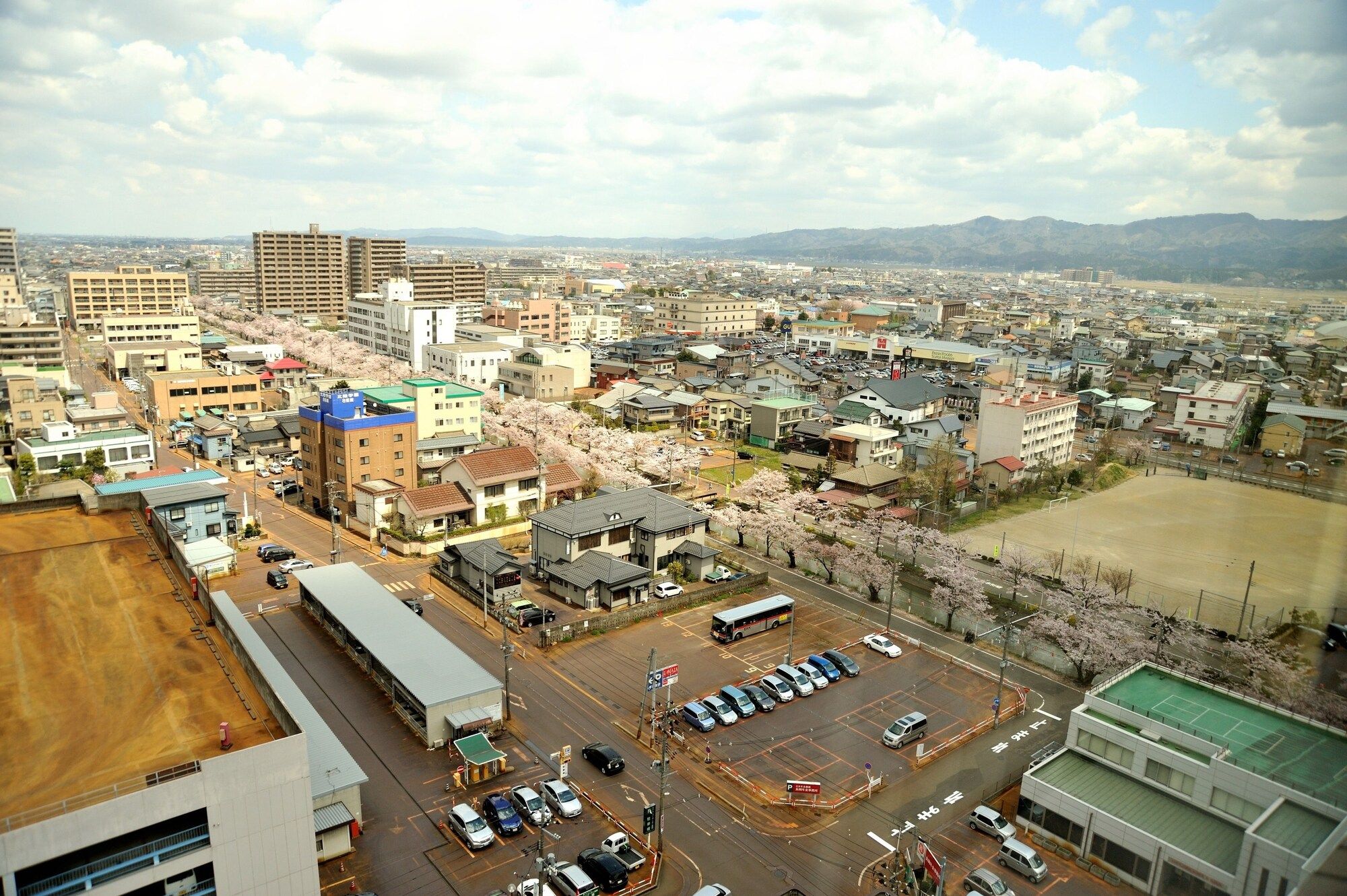屋外の景色